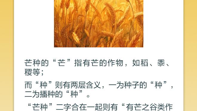 队史篮板王！字母：没人能想到一个瘦弱的希腊小孩会打破天勾纪录